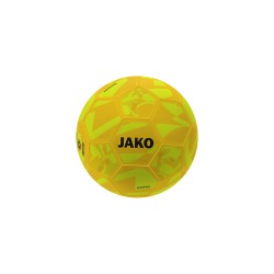 Indoorball Iconic...